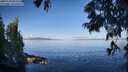 ./images/koeye/fitz-hugh/20250703/fitz-hugh20250703_082011M.jpg
