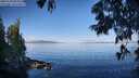 ./images/koeye/fitz-hugh/20250703/fitz-hugh20250703_083011M.jpg