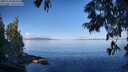 ./images/koeye/fitz-hugh/20250703/fitz-hugh20250703_084511M.jpg