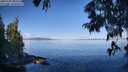./images/koeye/fitz-hugh/20250703/fitz-hugh20250703_085511M.jpg