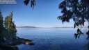./images/koeye/fitz-hugh/20250703/fitz-hugh20250703_090012M.jpg