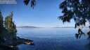 ./images/koeye/fitz-hugh/20250703/fitz-hugh20250703_090511M.jpg