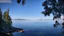 ./images/koeye/fitz-hugh/20250703/fitz-hugh20250703_091010M.jpg