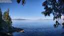 ./images/koeye/fitz-hugh/20250703/fitz-hugh20250703_091512M.jpg