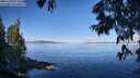 ./images/koeye/fitz-hugh/20250703/fitz-hugh20250703_092009M.jpg