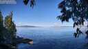 ./images/koeye/fitz-hugh/20250703/fitz-hugh20250703_092510M.jpg