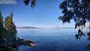 ./images/koeye/fitz-hugh/20250703/fitz-hugh20250703_093012M.jpg