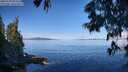 ./images/koeye/fitz-hugh/20250703/fitz-hugh20250703_093508M.jpg
