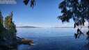 ./images/koeye/fitz-hugh/20250703/fitz-hugh20250703_094010M.jpg