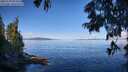 ./images/koeye/fitz-hugh/20250703/fitz-hugh20250703_094510M.jpg