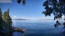 ./images/koeye/fitz-hugh/20250703/fitz-hugh20250703_095009M.jpg