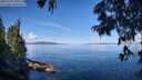 ./images/koeye/fitz-hugh/20250703/fitz-hugh20250703_100509M.jpg