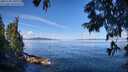./images/koeye/fitz-hugh/20250703/fitz-hugh20250703_101010M.jpg