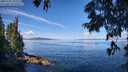 ./images/koeye/fitz-hugh/20250703/fitz-hugh20250703_101511M.jpg
