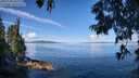 ./images/koeye/fitz-hugh/20250703/fitz-hugh20250703_102011M.jpg