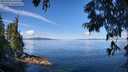 ./images/koeye/fitz-hugh/20250703/fitz-hugh20250703_102509M.jpg