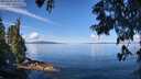 ./images/koeye/fitz-hugh/20250703/fitz-hugh20250703_103011M.jpg