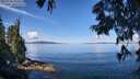./images/koeye/fitz-hugh/20250703/fitz-hugh20250703_103510M.jpg