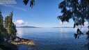 ./images/koeye/fitz-hugh/20250703/fitz-hugh20250703_104011M.jpg