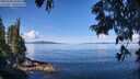 ./images/koeye/fitz-hugh/20250703/fitz-hugh20250703_104510M.jpg