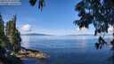 ./images/koeye/fitz-hugh/20250703/fitz-hugh20250703_105011M.jpg
