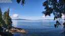 ./images/koeye/fitz-hugh/20250703/fitz-hugh20250703_105510M.jpg