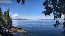 ./images/koeye/fitz-hugh/20250703/fitz-hugh20250703_110012M.jpg