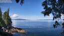 ./images/koeye/fitz-hugh/20250703/fitz-hugh20250703_110509M.jpg