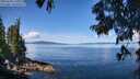 ./images/koeye/fitz-hugh/20250703/fitz-hugh20250703_111010M.jpg