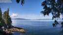 ./images/koeye/fitz-hugh/20250703/fitz-hugh20250703_111511M.jpg
