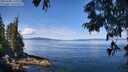 ./images/koeye/fitz-hugh/20250703/fitz-hugh20250703_112011M.jpg