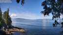 ./images/koeye/fitz-hugh/20250703/fitz-hugh20250703_112509M.jpg