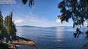 ./images/koeye/fitz-hugh/20250703/fitz-hugh20250703_113012M.jpg