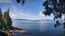 ./images/koeye/fitz-hugh/20250703/fitz-hugh20250703_113510M.jpg