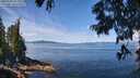./images/koeye/fitz-hugh/20250703/fitz-hugh20250703_114010M.jpg