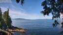 ./images/koeye/fitz-hugh/20250703/fitz-hugh20250703_114511M.jpg