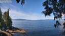 ./images/koeye/fitz-hugh/20250703/fitz-hugh20250703_115010M.jpg