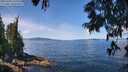 ./images/koeye/fitz-hugh/20250703/fitz-hugh20250703_115508M.jpg