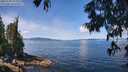 ./images/koeye/fitz-hugh/20250703/fitz-hugh20250703_120012M.jpg