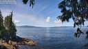 ./images/koeye/fitz-hugh/20250703/fitz-hugh20250703_121010M.jpg