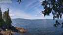 ./images/koeye/fitz-hugh/20250703/fitz-hugh20250703_123011M.jpg