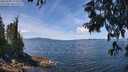 ./images/koeye/fitz-hugh/20250703/fitz-hugh20250703_123510M.jpg