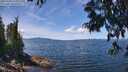 ./images/koeye/fitz-hugh/20250703/fitz-hugh20250703_125010M.jpg
