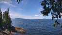 ./images/koeye/fitz-hugh/20250703/fitz-hugh20250703_125510M.jpg