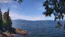 ./images/koeye/fitz-hugh/20250703/fitz-hugh20250703_130011M.jpg