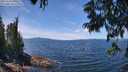 ./images/koeye/fitz-hugh/20250703/fitz-hugh20250703_130509M.jpg