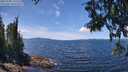 ./images/koeye/fitz-hugh/20250703/fitz-hugh20250703_131511M.jpg