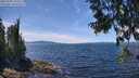./images/koeye/fitz-hugh/20250703/fitz-hugh20250703_133510M.jpg