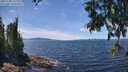 ./images/koeye/fitz-hugh/20250703/fitz-hugh20250703_134010M.jpg