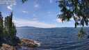./images/koeye/fitz-hugh/20250703/fitz-hugh20250703_134511M.jpg